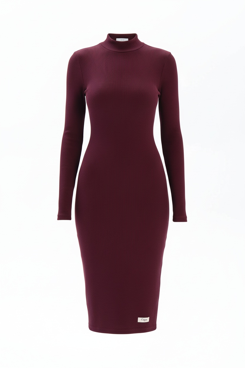 Fitted Ribbed Knit Long Sleeve Mock Neck Midi Dress photo 1