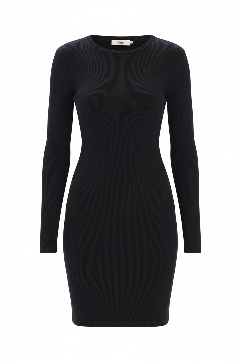 Black Ribbed Long Sleeve Mini Dress photo 1