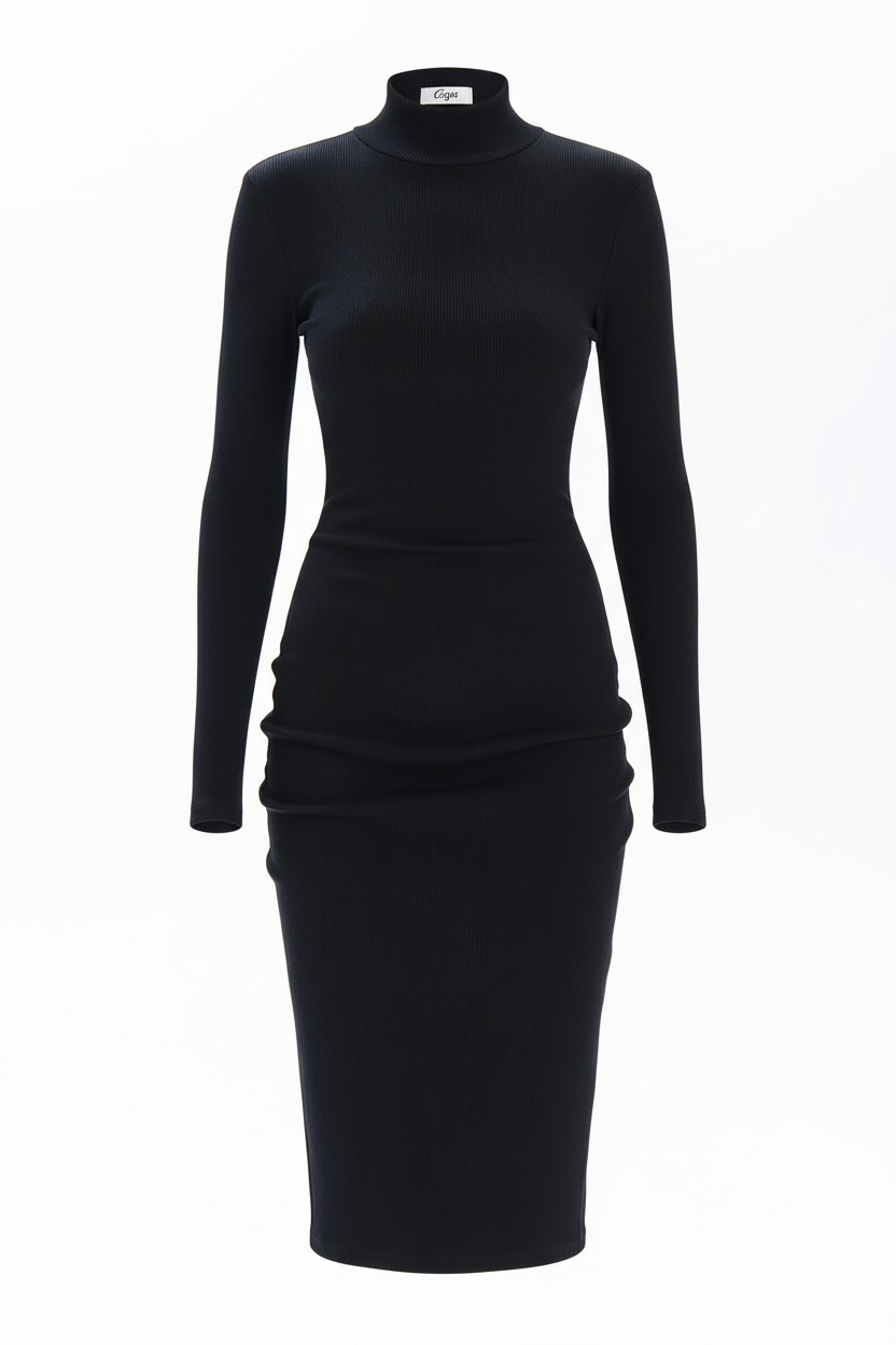 Black Ribbed Turtleneck Long Sleeve Midi Dress photo 1
