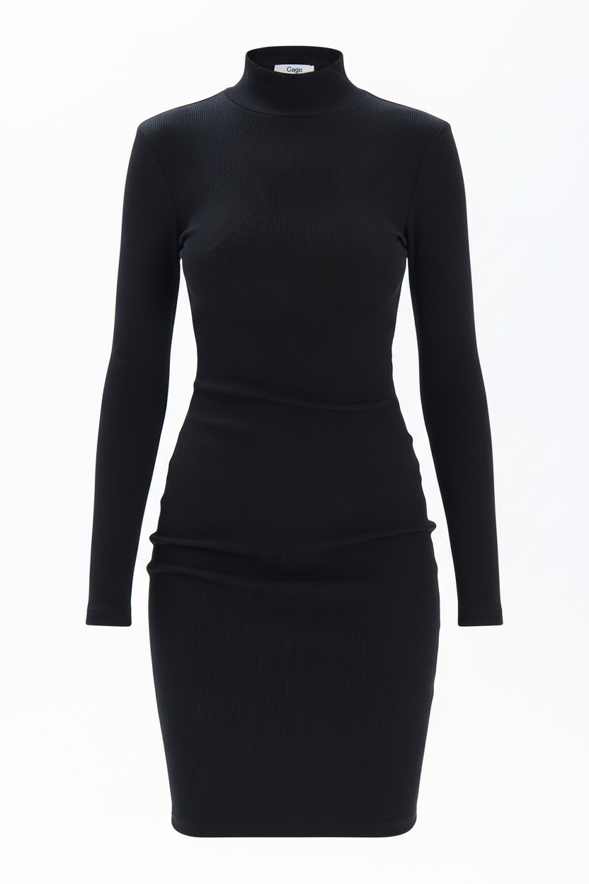 Black Ribbed Turtleneck Mini Dress photo 1