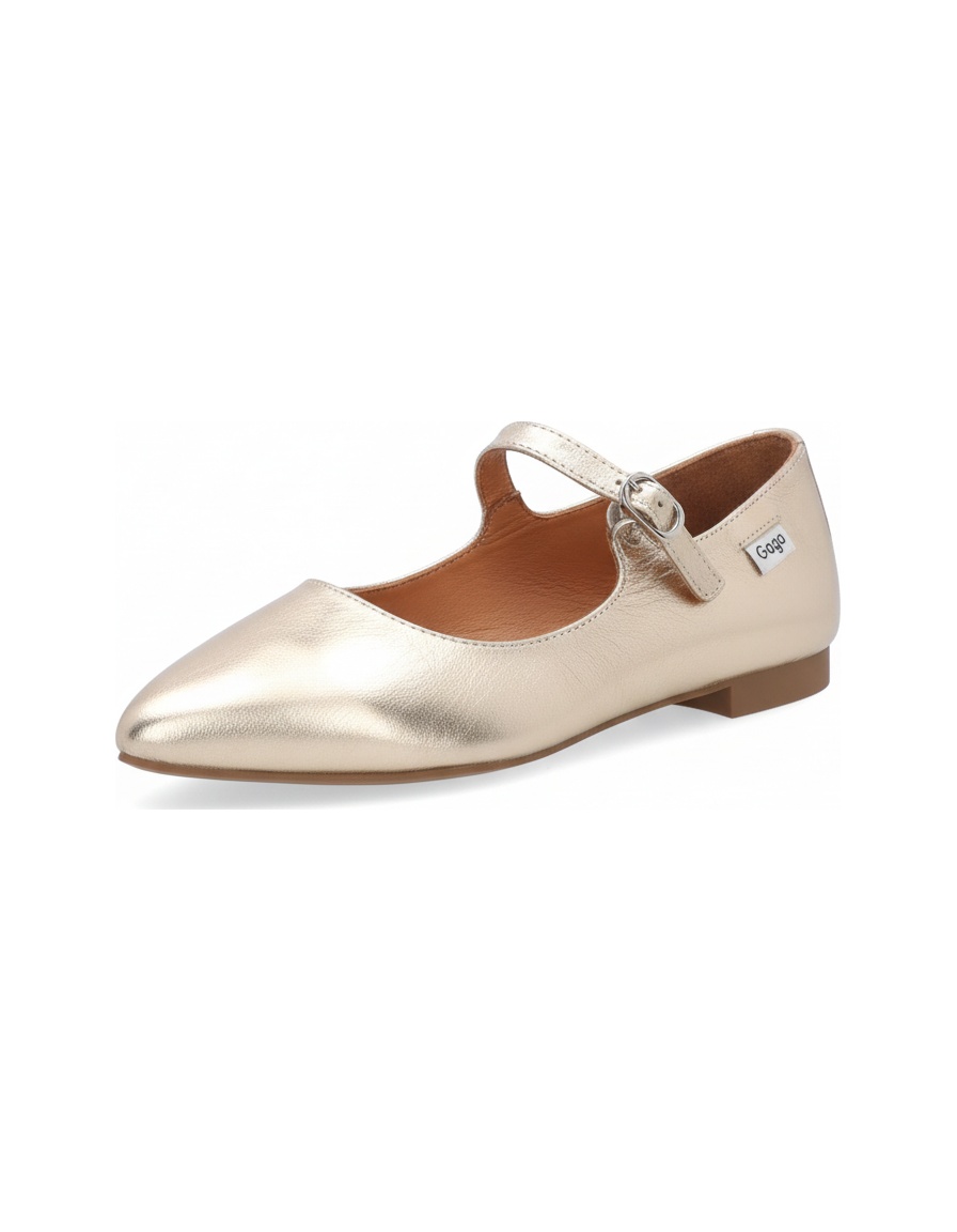 Gold Metallic Pointed Toe Ballet Flats photo 1