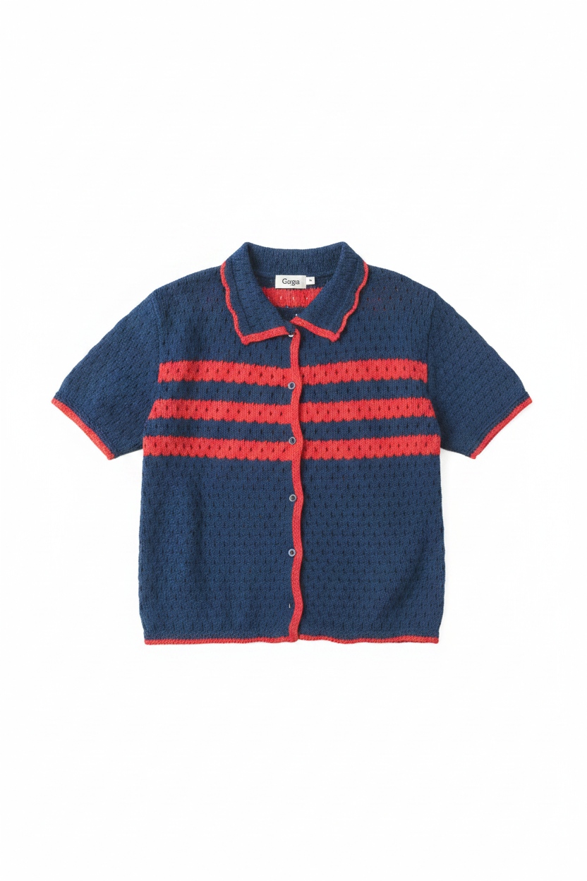 Blue & Red Striped Knit Polo Top photo 1