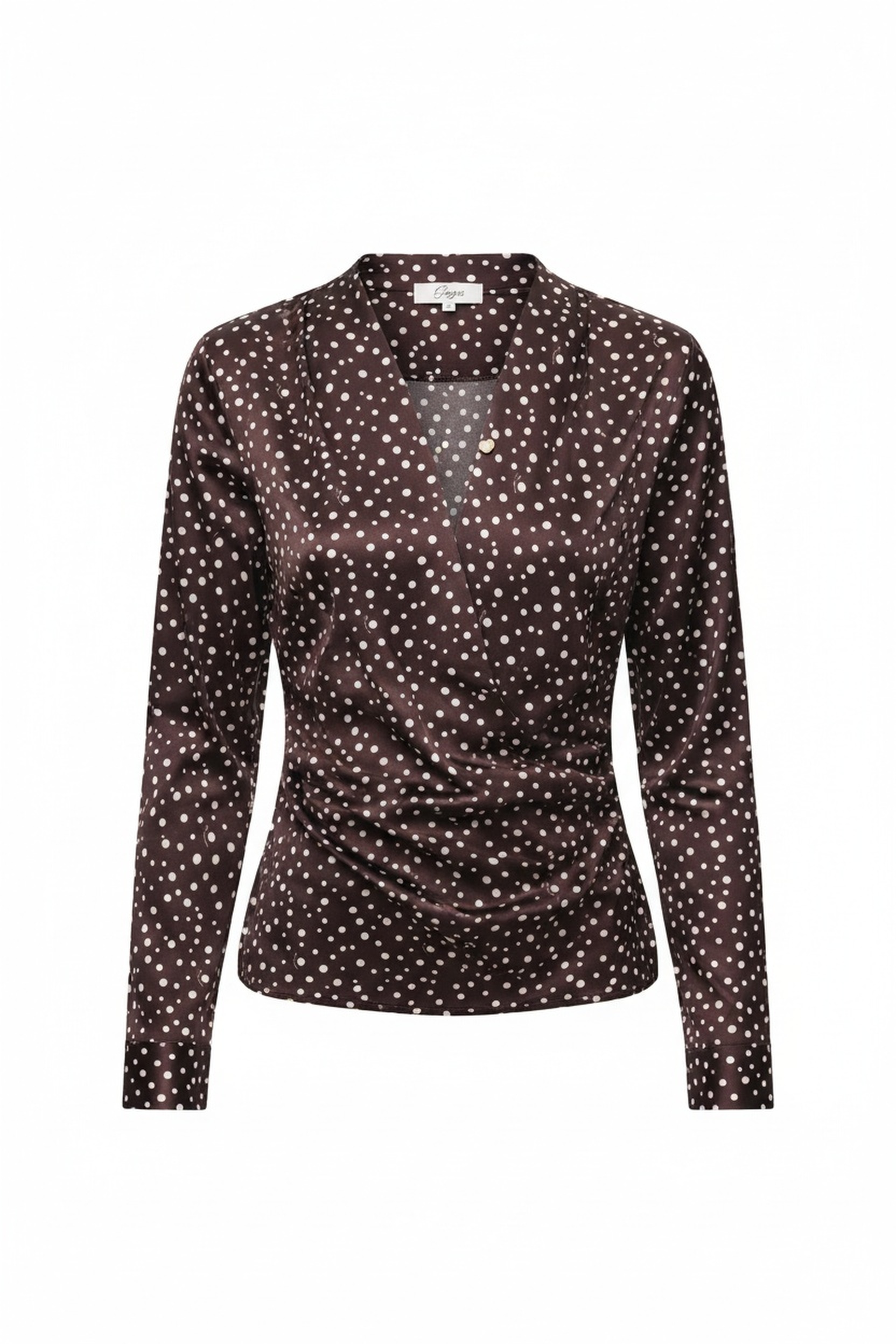 Polka Dot V-Neck Long Sleeve Blouse photo 1