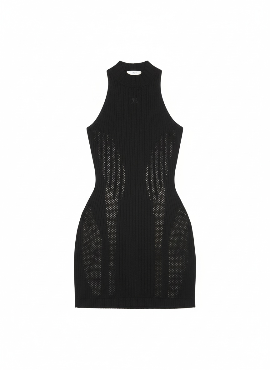 Black Ribbed Mesh Bodycon Mini Dress photo 1