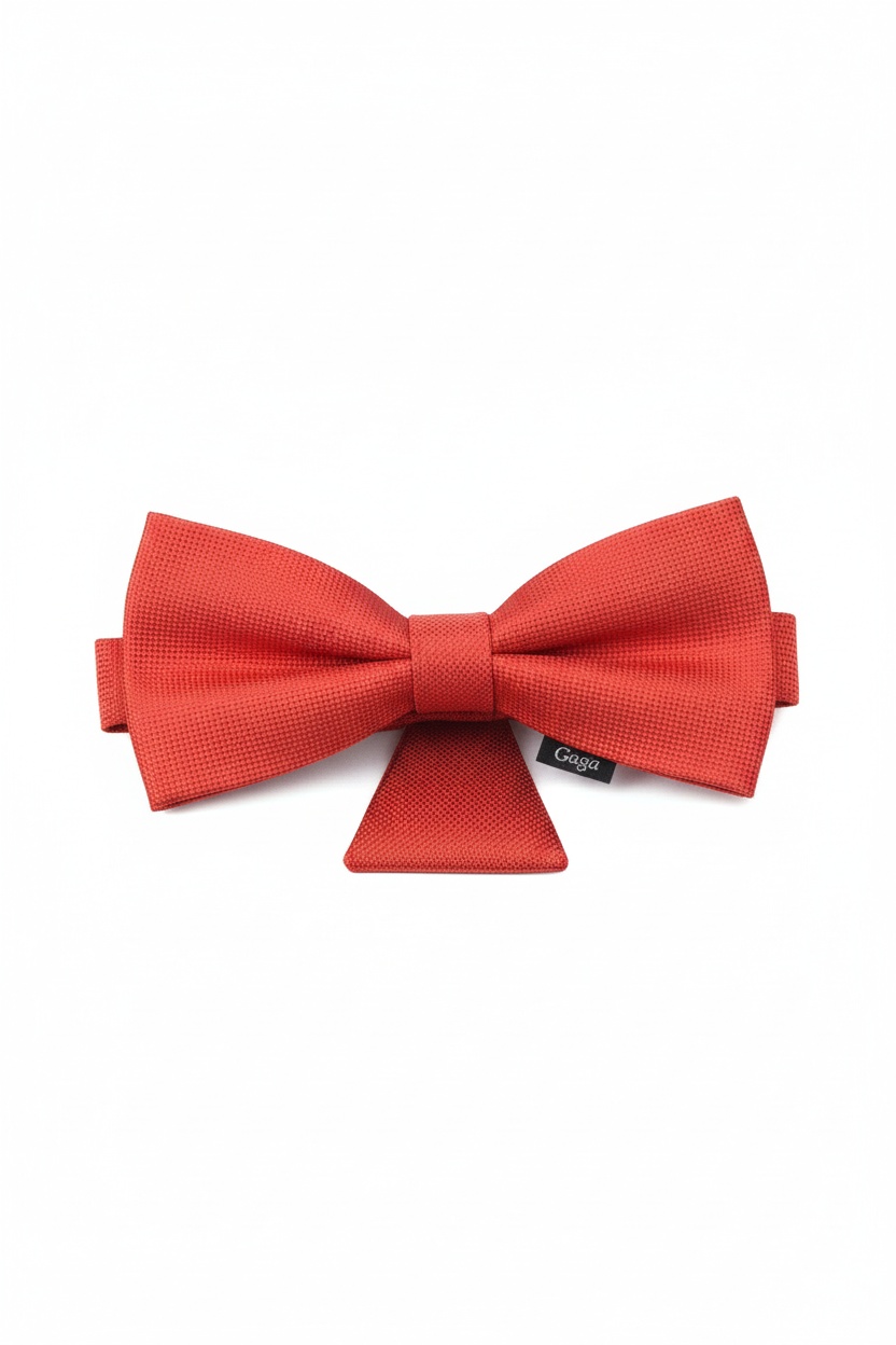 LANCERTO Red Textured Bow Tie & Pocket Square Set photo 1