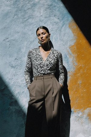 Zebra Print Long Sleeve V-Neck Blouse