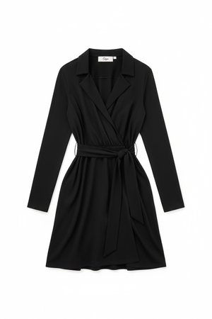 Elegant Black Tie-Waist Mini Dress