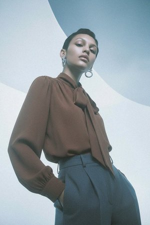 Elegant Brown Pussy-Bow Blouse