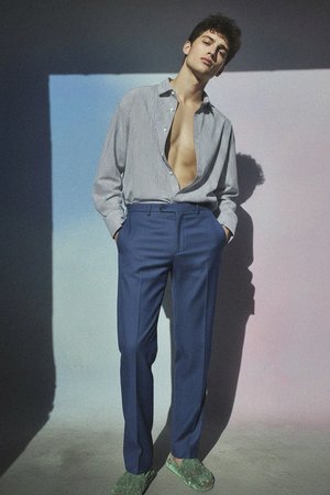 Blue Regular Fit Dress Pants