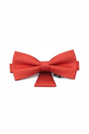 LANCERTO Red Textured Bow Tie & Pocket Square Set