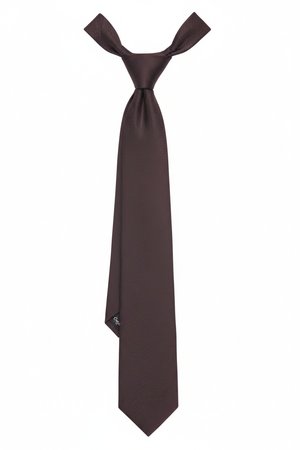 Classic Brown Textured Tie