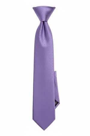 Elegant Purple Textured Necktie