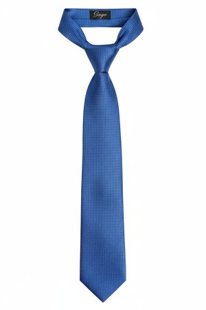 Elegant Blue Textured Necktie