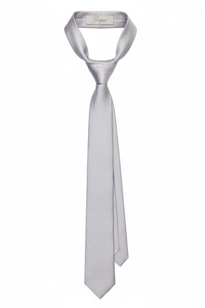 Sleek Silver Textured Tie