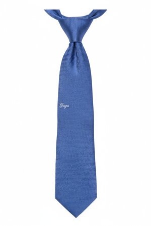 Classic Blue Textured Tie