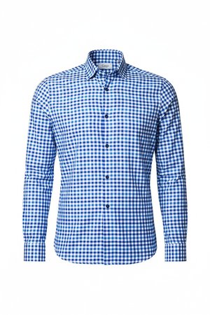 Blue Gingham Checkered Long Sleeve Shirt
