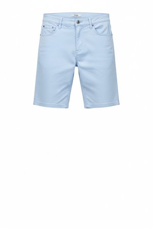 Light Blue Casual Shorts