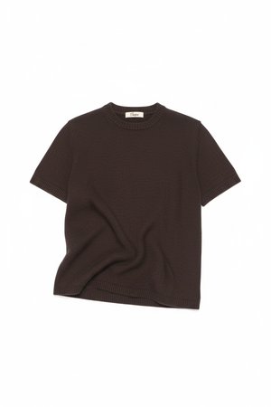 Ribbed Knit Short Sleeve Top in Rich Brown