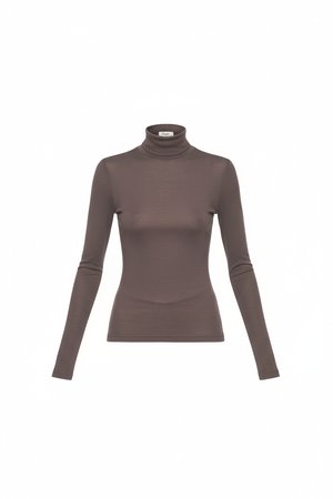 Fitted Brown Long Sleeve Turtleneck Top